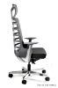 Picture of UREDSKA ERGONOMSKA STOLICA SPINELLY