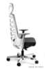 Picture of UREDSKA ERGONOMSKA STOLICA SPINELLY