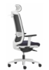 Picture of Uredska ergonomska stolica - VICTORY