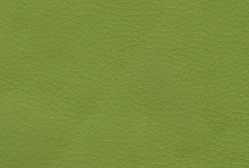 Zelena [+8.75€]