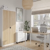Picture of UREDSKI METALNI ORMAR BP-DM01 (BIJELA/HRAST)